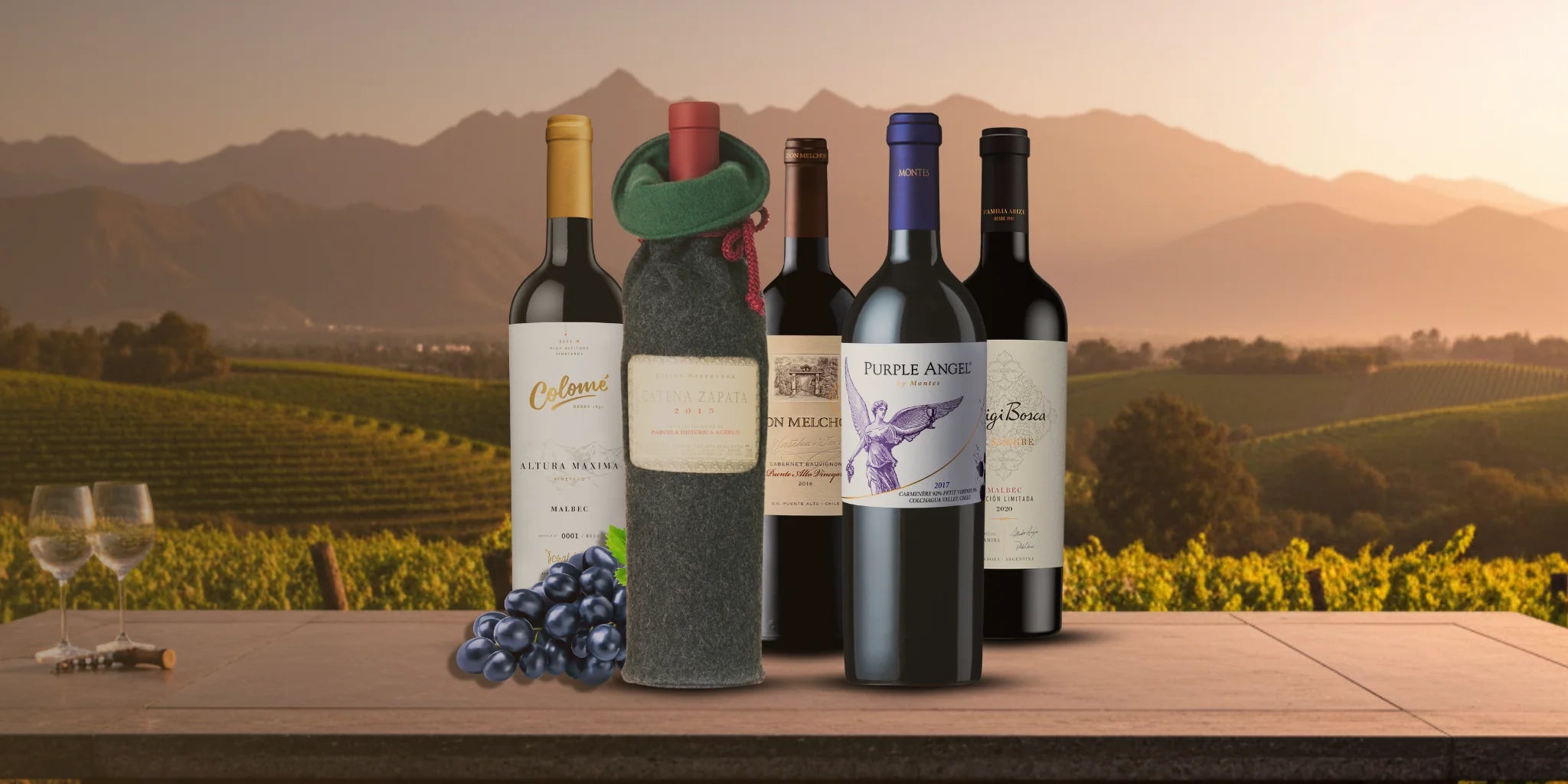 VINOS NUEVO MUNDO