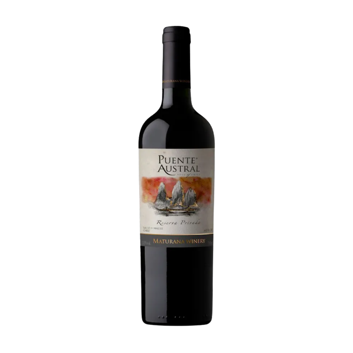 Vino MATURANA Puente Austral Reserva Privada Merlot Botella 750ml