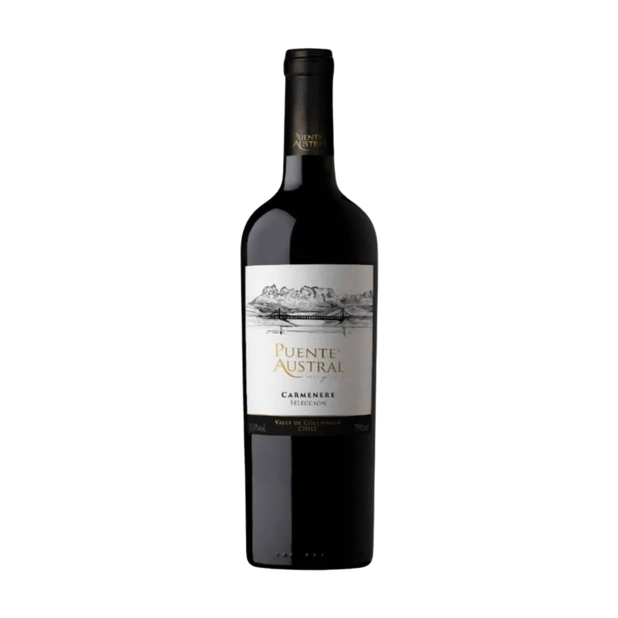 Vino Tinto PUENTE AUSTRAL Selección Carmenere Botella 750ml