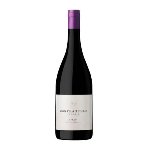 Vino MONTEAGRELO Syrah Botella 750ml