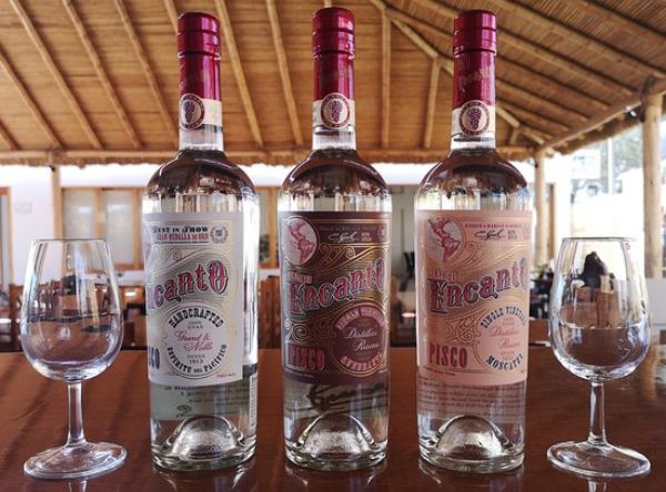 Ganadores del Concurso Nacional del Pisco 2025: lista completa y análisis por categorías