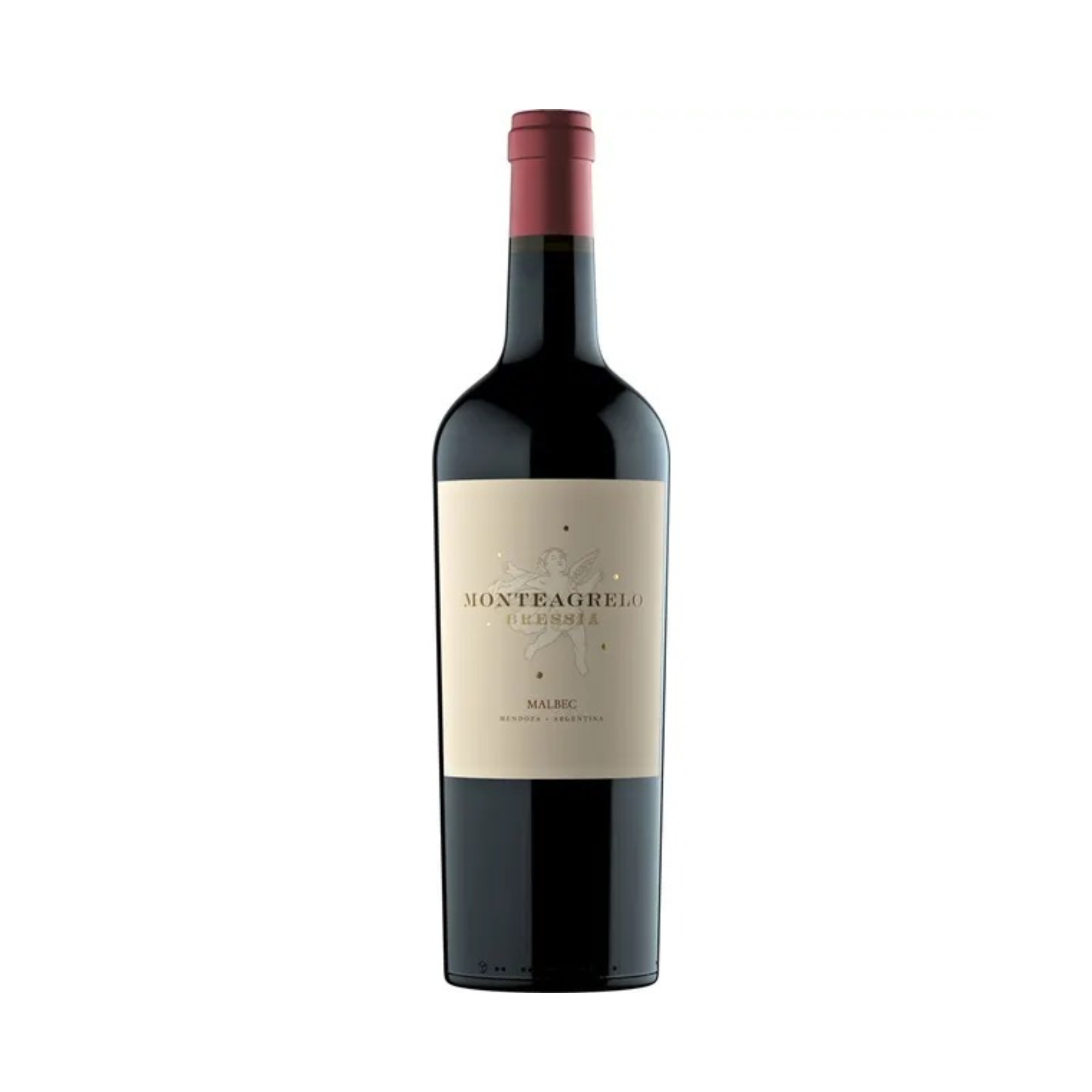 Vino MONTEAGRELO Malbec Botella 750ml