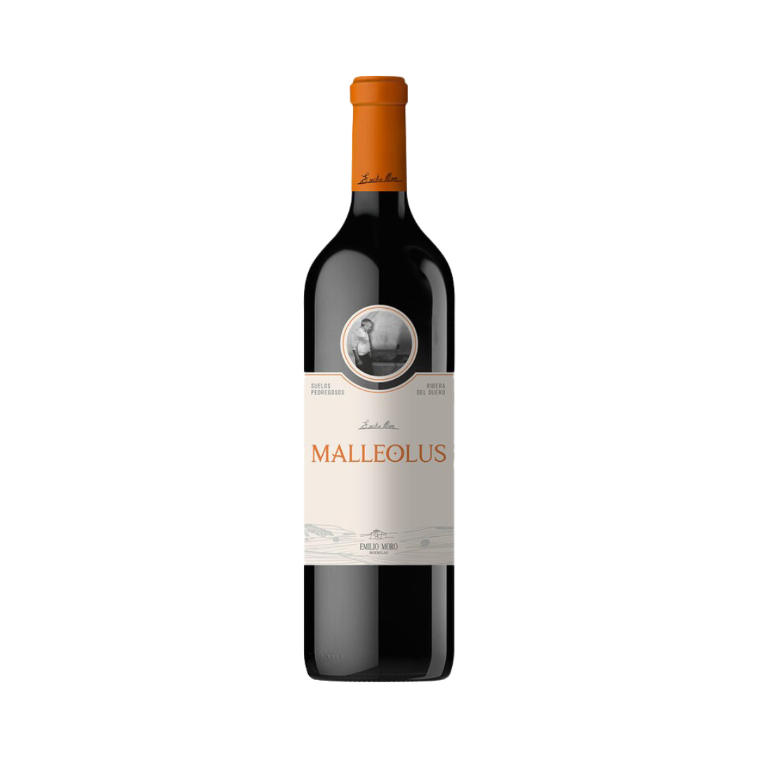 VINO MALLEOLUS MAGNUM