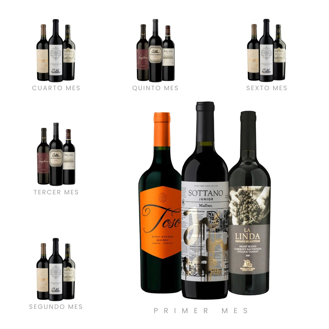 CLUB VINOS - Membresía Bronce