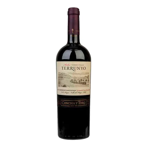 Vino TERRUNYO Cabernet Sauvignon Botella 750ml