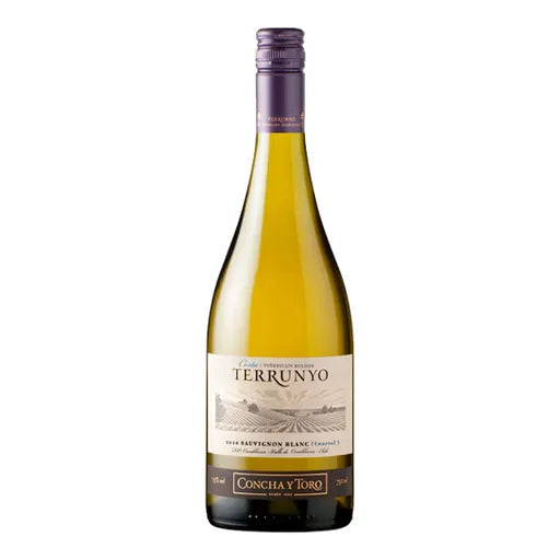 Vino TERRUNYO Sauvignon Blanc Botella 750ml